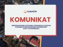 tymczasowa organizacja